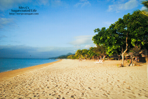 See how nice it is at Virgin Beach Resort? It's just a little too pricey for a group as big as ours.